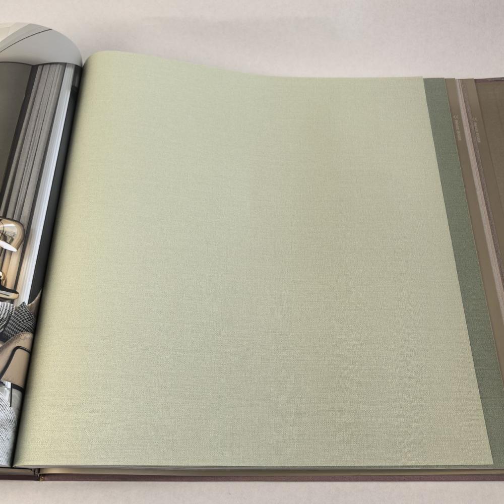 Alessandro Allori Bruni RBN 1003-13