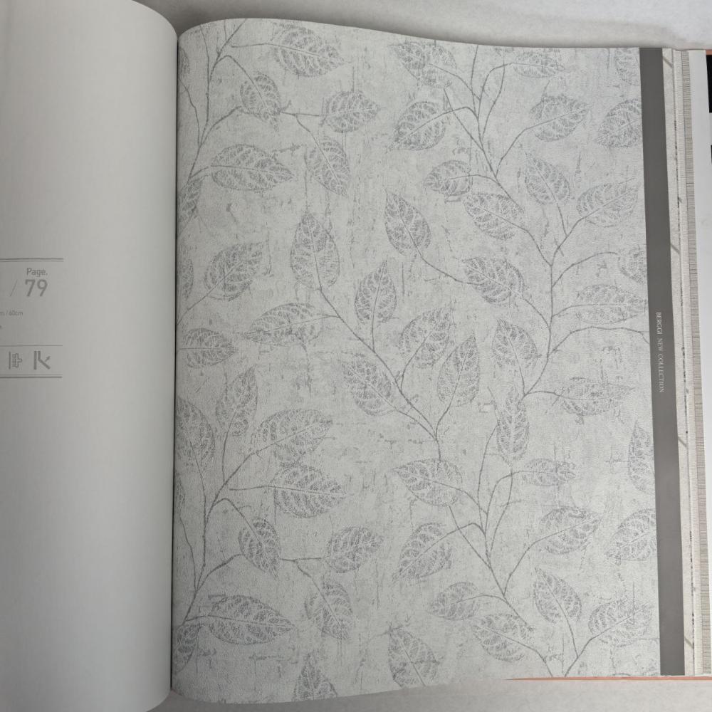 Andrea Rossi Berggi 54441-2