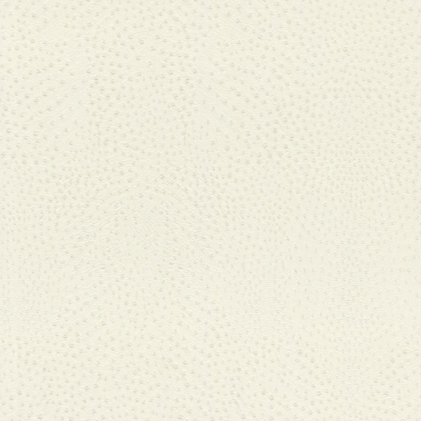 Rasch African Queen III 751536