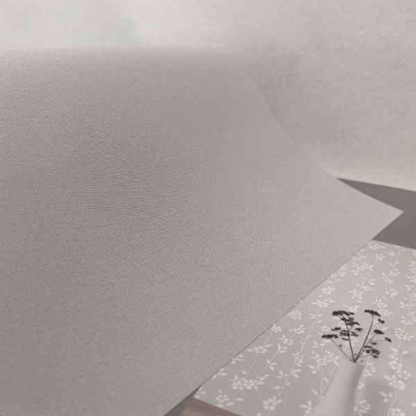 Andrea Rossi Berggi 54450-5