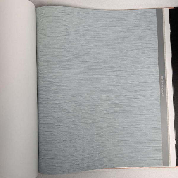 Andrea Rossi Berggi 54438-7