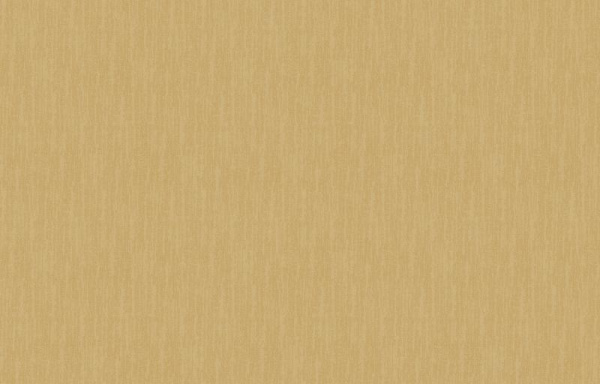 Loymina Shade SD2 004