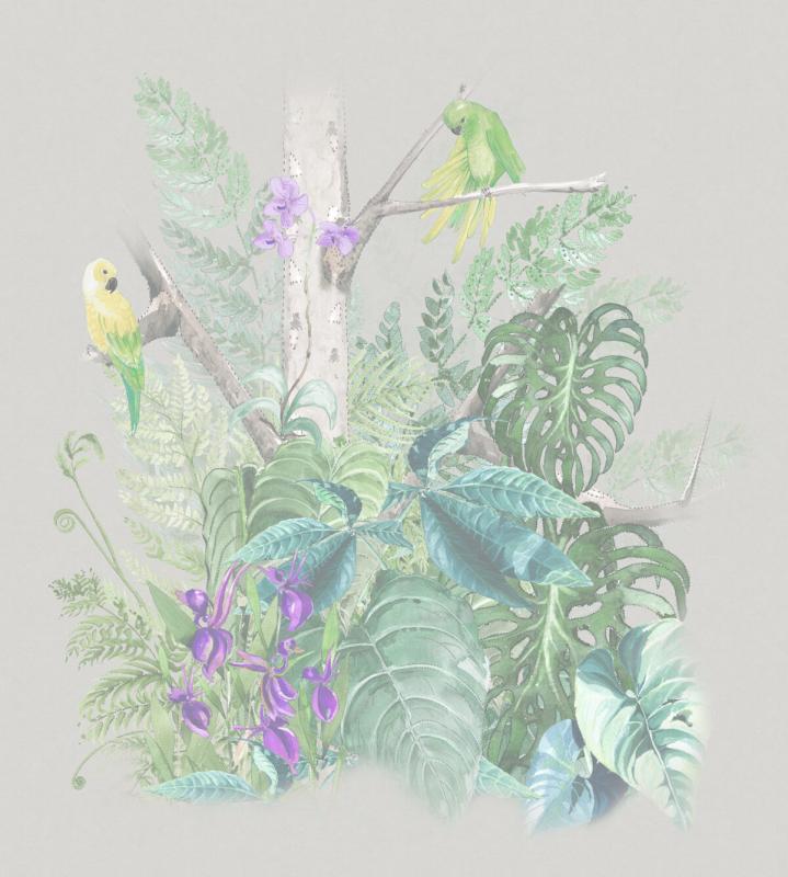 Marburg Bombay 2 30162