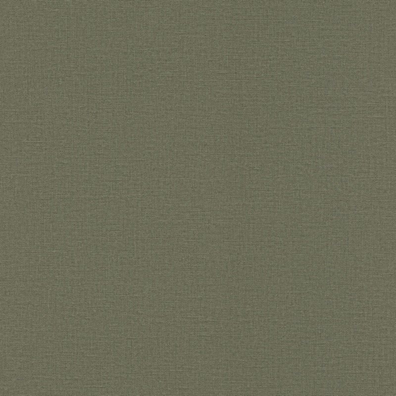 Rasch Natural Colors 555943