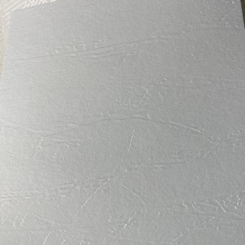 NC Antivandal 9010-080