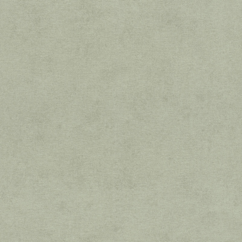 Rasch Natural Colors 408171