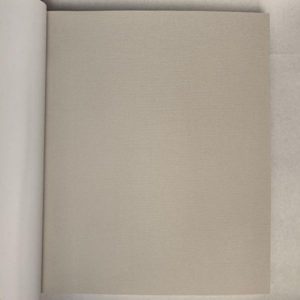 Andrea Rossi Berggi 54452-4