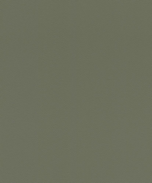 Rasch African Queen III 752687