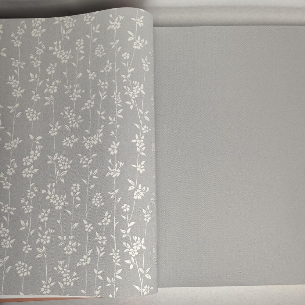 Andrea Rossi Berggi 54450-5