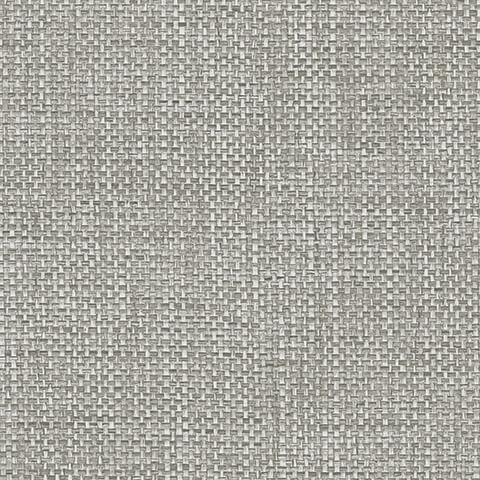 Andrea Rossi Gallinara 54317-9