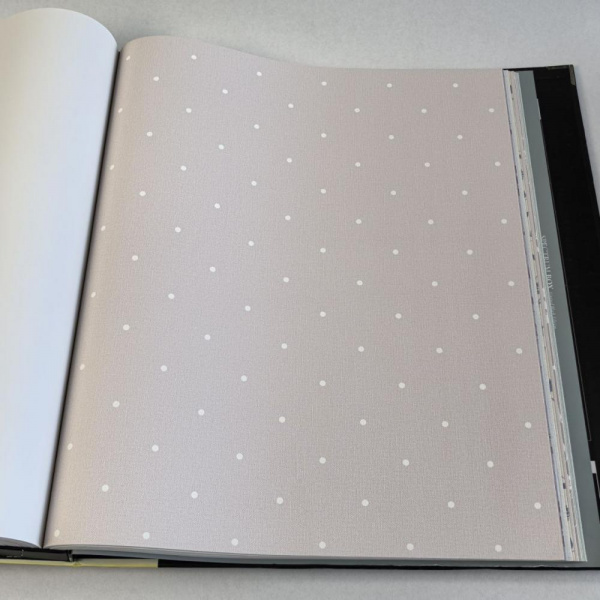 Andrea Rossi Spectrum Box 54454-19