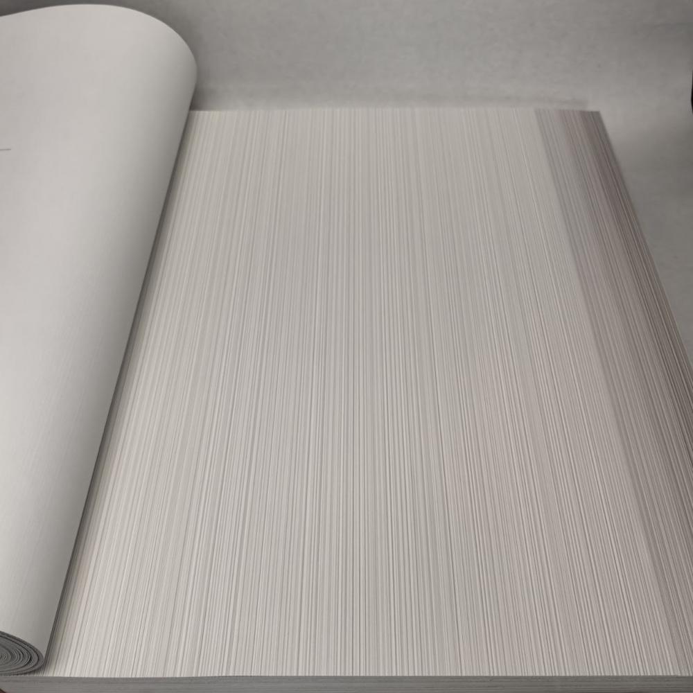 Andrea Rossi Berggi 54447-2