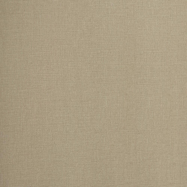 Andrea Rossi Palmaria 54461-8