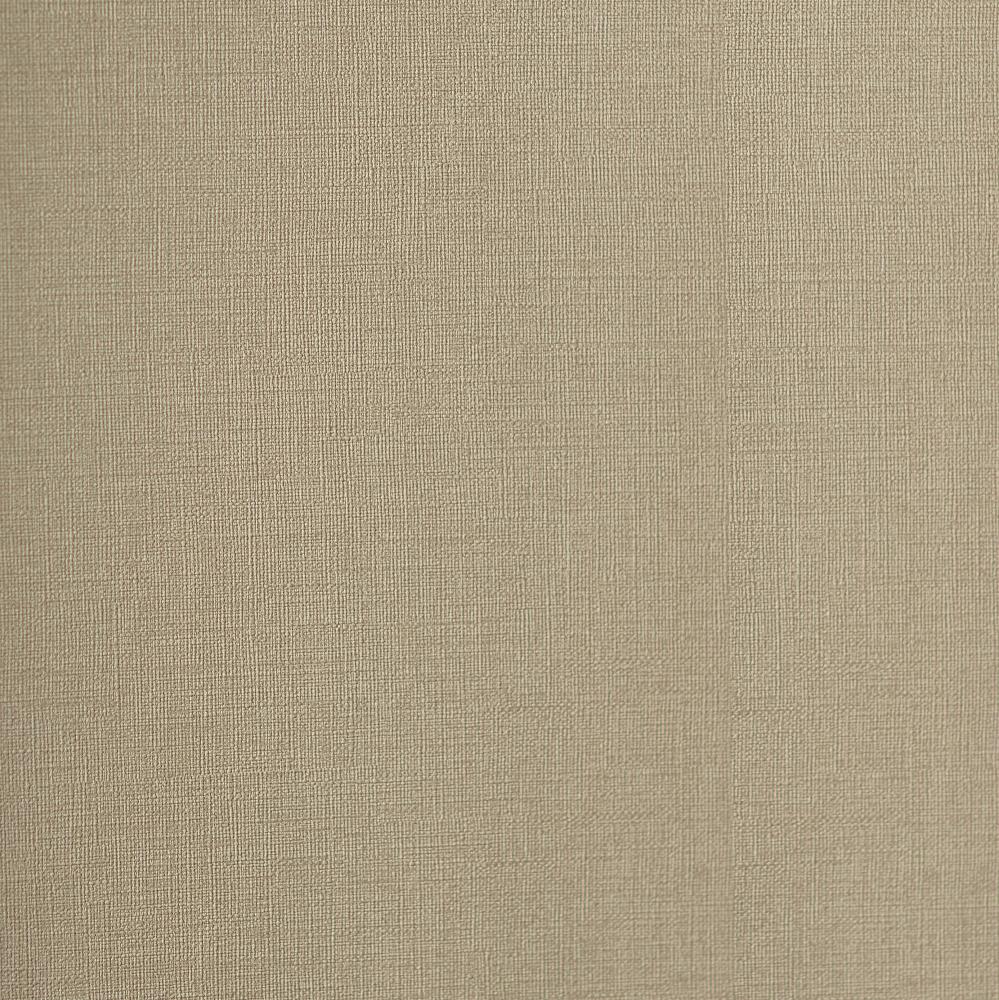 Andrea Rossi Palmaria 54461-8